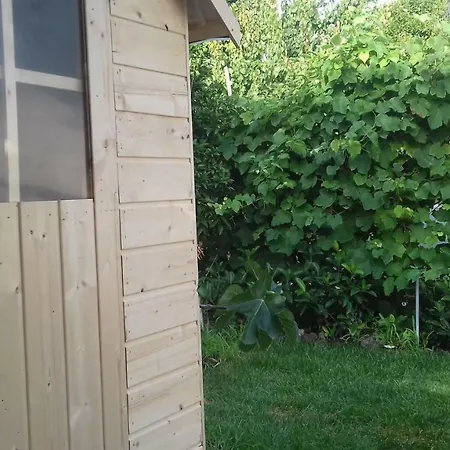 Francois Torre Annunziata